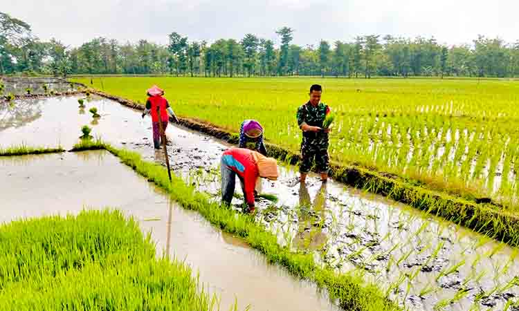 Dukung ketahanan pangan
