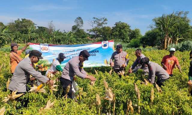 Img 20251008 wa0077 copy 1280x768