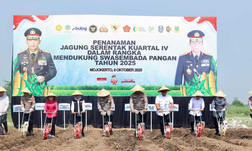 Img 20251009 wa0009 copy 3328x1997