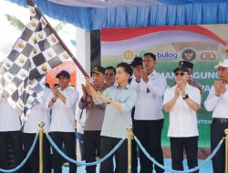 Tanam Serentak, 1.268 Ton Jagung Dilepas Polri untuk Bulog