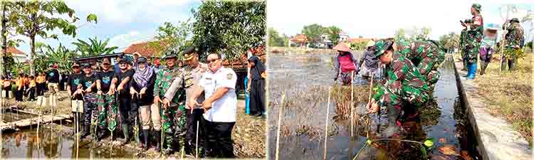 Kasdim pemalang hadiri penanaman mangrove serentak 2