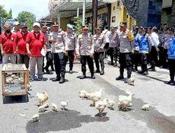 Peternak Ayam Broiler Gelar Aksi Damai di DPRD dan Polres Lamongan, Tuntut Perlindungan Usaha