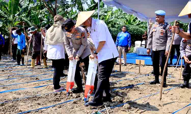 Polres bojonegoro tanam jagung