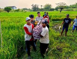 Polres Lamongan Evakuasi Korban Meninggal Dunia Di Duga Akibat Kesetrum Jebakan Tikus di Area Persawahan