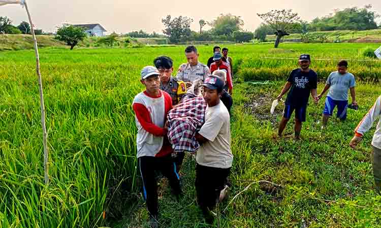 Polres lamongan evakuasi korban meninggal