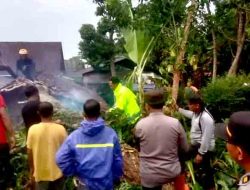 Respon Cepat Polisi Ngawi Tangani Pohon Tumbang Timpa Rumah Warga di Sine
