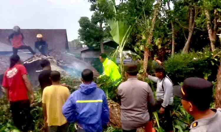 Respon cepat polisi ngawi tangani pohon tumbang