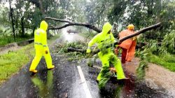 Respon Cepat Polisi dan BPBD Evakuasi Pohon Tumbang, Jalur Magetan – Bendo Kembali Lancar