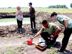 Satgas TMMD ke-126 Kodim 0816/Sidoarjo Bersama Dinas Perikanan Tinjau Kolam Ikan di Desa Kedondong