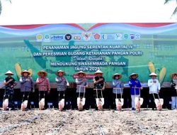 Sinergi TNI–Polri Wujudkan Swasembada Pangan: Pangdam VI/Mulawarman Turun Menanam Jagung Serentak