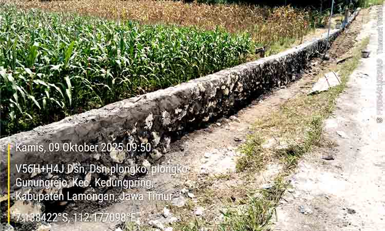Tpt dusun plongko dituding asal jadi 5