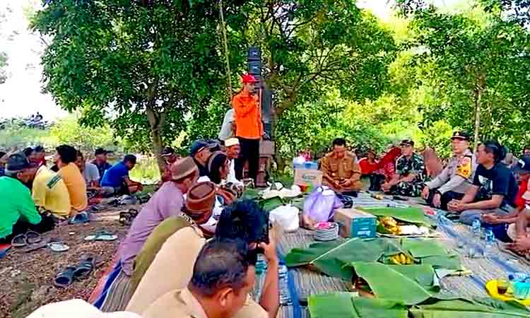 Tradisi wiwitan warnai keberhasilan panen padi warga mojodadi