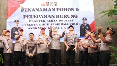 IMG 20251112 WA0030 copy 1280x768