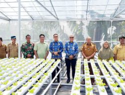Moncongkomba Perkuat Ketahanan Pangan Lewat Hidroponik Selada