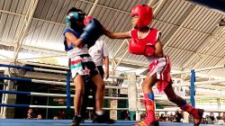 Jaring Atlet Tinju Amatir, Pertina Sidoarjo Gelar Fun Fight Boxing