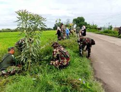 Kodim Pemalang Bersama Forkopimda Gelar Kegiatan Sinergi Jumat Bersih dan Penanaman 70 Pohon Tabebuya