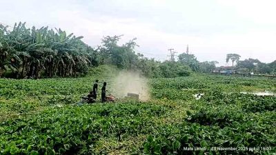 Masyarakat Bengawan Jeroh Mengeluh Terkait Permasalahan Enceng Gondok Yang Belum Teratasi