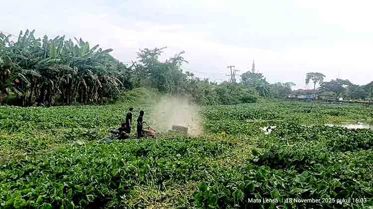 Masyarakat Bengawan Jeroh Mengeluh Terkait Permasalahan Enceng Gondok Yang Belum Teratasi