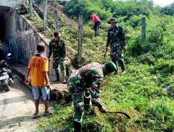Pelopor Dalam Kemanunggalan TNI dan Rakyat, Babinsa Sitemu Ajak Masyarakat Bersihkan Lingkungan di Bahu Jalan Tol