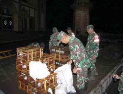 TNI Perkuat Respons Penanggulangan Bencana, Pastikan Penanganan Dampak Erupsi Semeru Berjalan Cepat dan Terkoordinasi