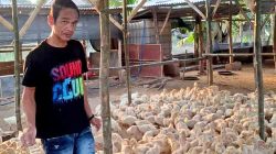 Agus Purnomo Bangkitkan Ekonomi Desa Lewat Peternakan Bebek Darat: Modal Nekat, Hasil Hebat