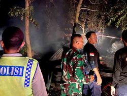 Kandang Ayam di Desa Lawak Dilalap Api, Petugas Gabungan Tanggap Padamkan Kobaran