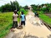 Warga Selopuro Ngawi Tanam Pisang di Jalan Rusak, Protes Janji Pembangunan yang Tak Kunjung Terwujud