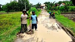 Warga Selopuro Ngawi Tanam Puluhan Pohon Pisang