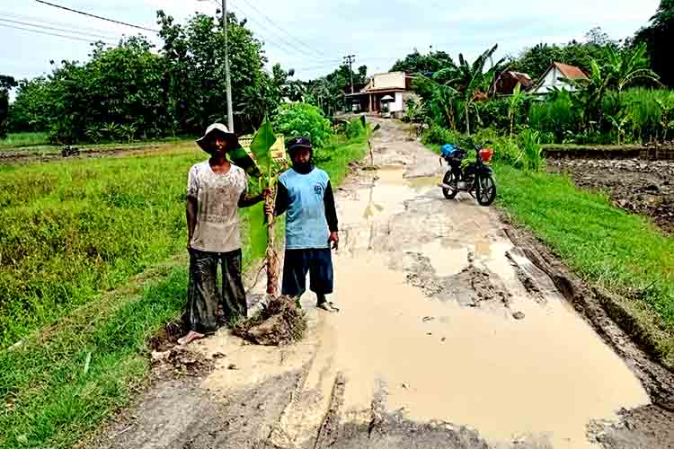Warga Selopuro Ngawi Tanam Puluhan Pohon Pisang