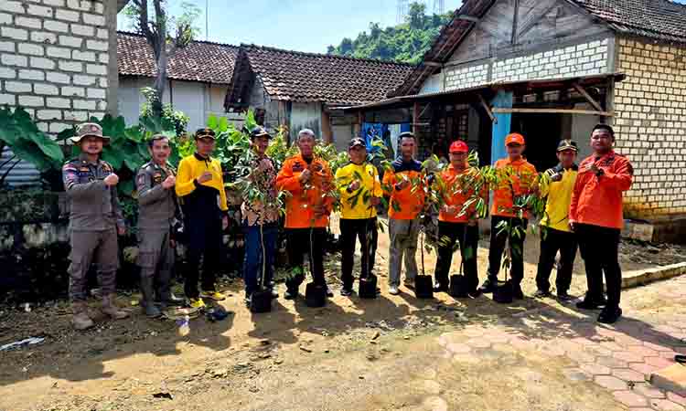 Bpbd Tuban Tanam Pohon Di Kumpulrejo Untuk Perkuat Mitigasi Bencana