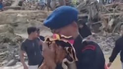 Aksi Heroik Brimob Gendong Bayi Seberangi Jembatan Nyaris Roboh di Tapanuli Selatan