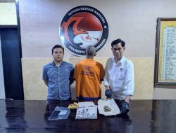 Polresta Banyuwangi Ungkap Peredaran Ganja Satu tersangka Diamankan