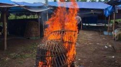 IMG 20251222 WA0009 copy 768x461