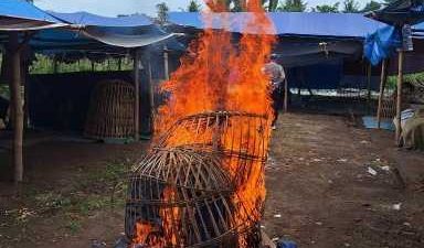 IMG 20251222 WA0009 copy 768x461