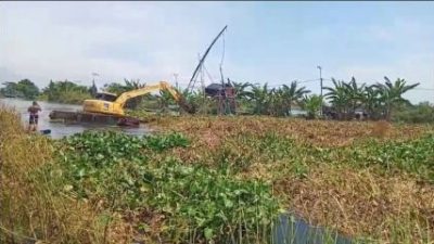 Mitigasi Bencana Banjir, PU SDA Jawa Timur dan kabupaten Lamongan Lakukan Pembersihan Enceng Gondok
