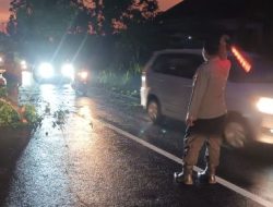 Respon Cepat, Kapolsek Kembangbahu Pimpin Penanganan Pohon Tumbang di Jalan Raya Mantup