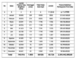 Realisasi Belanja Barang dan Jasa Pemkab Takalar 2024 Capai 93,54 Persen, Ditemukan Masalah Validitas Data Peserta JKN