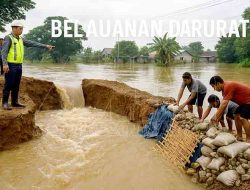 Tanggul Plalangan Jebol: Lamongan Siaga Darurat Banjir