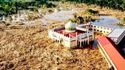 Lautan kayu di aceh tamiang erla (1)
