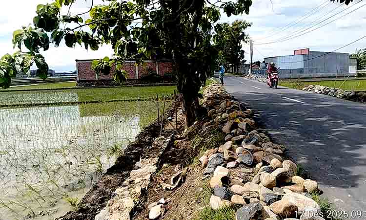 Ualitas Proyek Jalan Kalirandu–Temui Ireng Dipertanyakan