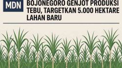 Bojonegoro Genjot Produksi Tebu, Targetkan 5.000 Hektare Lahan Baru