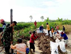 Gotong Royong Warga Gunungrejo Menyelamatkan Harapan Sawah dari Luapan Bendungan Andil