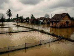 Bengawan Jero Meluap, Ribuan Rumah dan Tambak Tenggelam: Alarm Lama yang Belum Terjawab