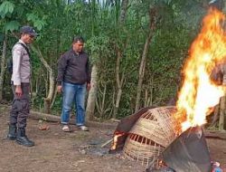 Polres Malang Bongkar Arena Judi Sabung Ayam di Kalipare