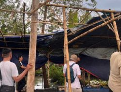 Respon Cepat 110 Polresta Sidoarjo Bongkar Arena Sabung Ayam di Ploso Krembung