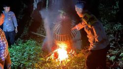 Polres Malang Kembali Bongkar Lokasi Judi Sabung Ayam di Sumberpucung