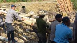 IMG 20260120 WA0028 copy 694x417