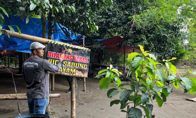 IMG 20260125 WA0007 copy 1280x768