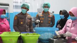 IMG 20260128 WA0012 copy 2048x1368