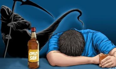 IMG 20260128 WA0018 copy 737x442